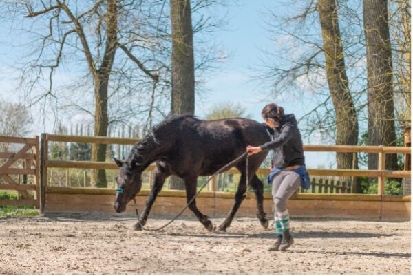 EQUIDAYS : Appoline Loubradou 3 juin 2025 – Image 3
